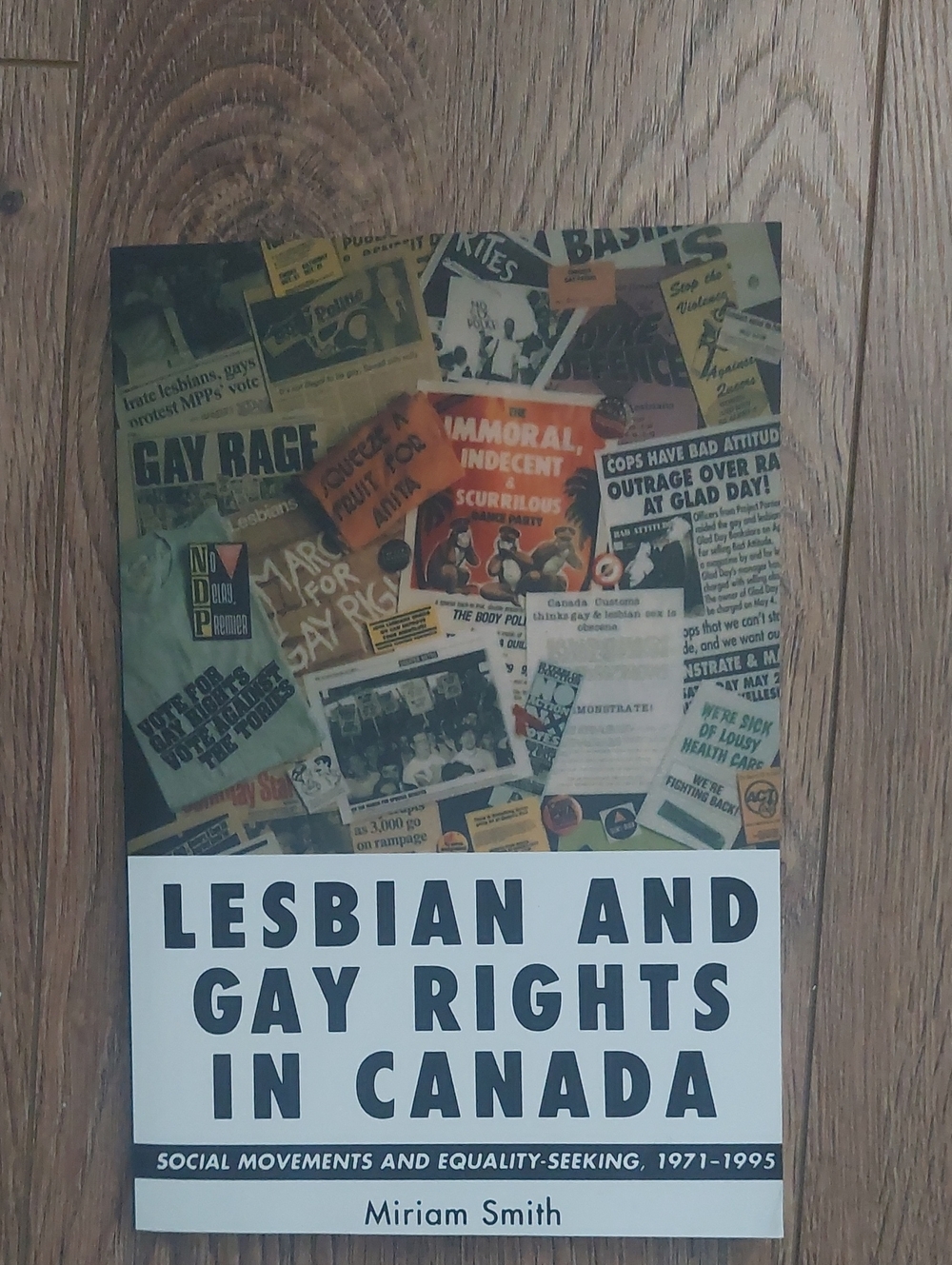 Lesbian and Gay Rights in Canada by Miriam Smith - White/Cream Cover